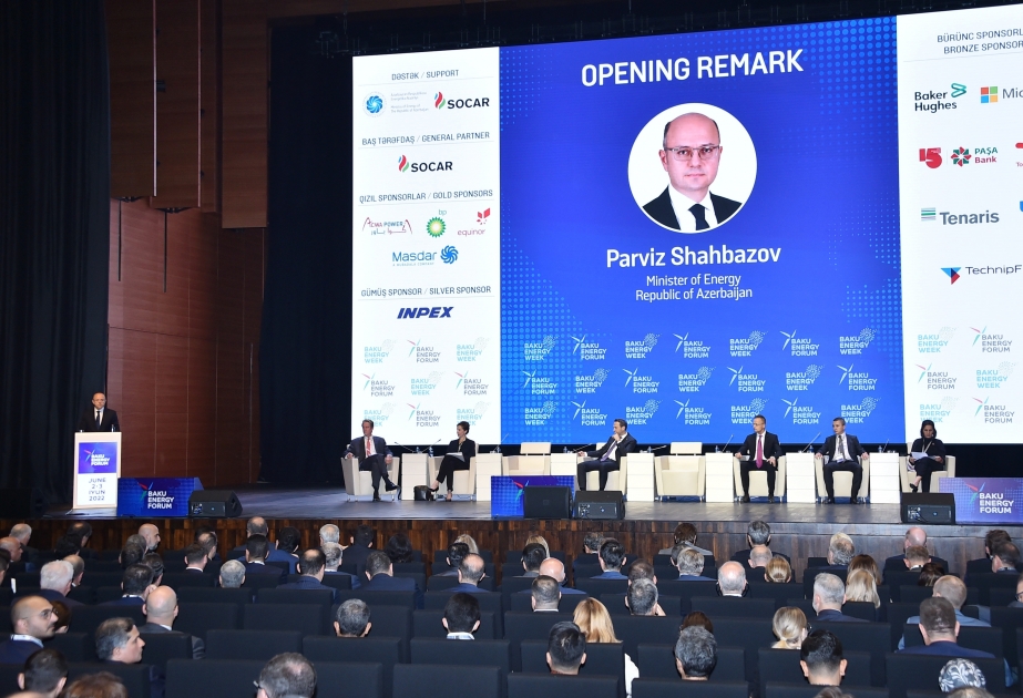 Minister Shahbazov: 29 bcm of Azerbaijani natural gas transported via TANAP so far