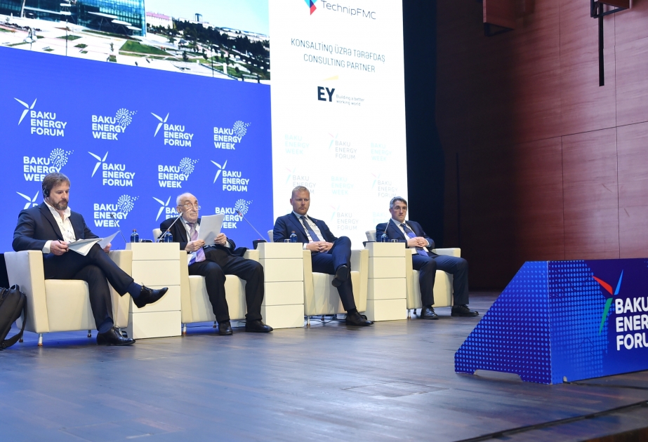 Bakı Enerji Forumu davam edir VİDEO