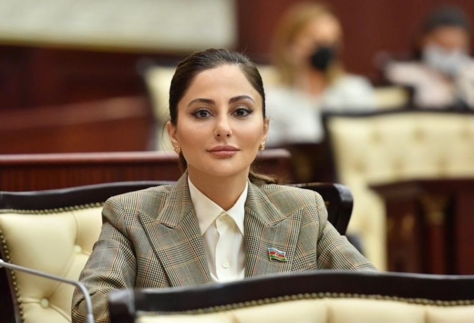 Deputat: Azərbaycan tranzit imkanları baxımından Avrasiyada həlledici söz sahibi olan ölkələrdən biridir