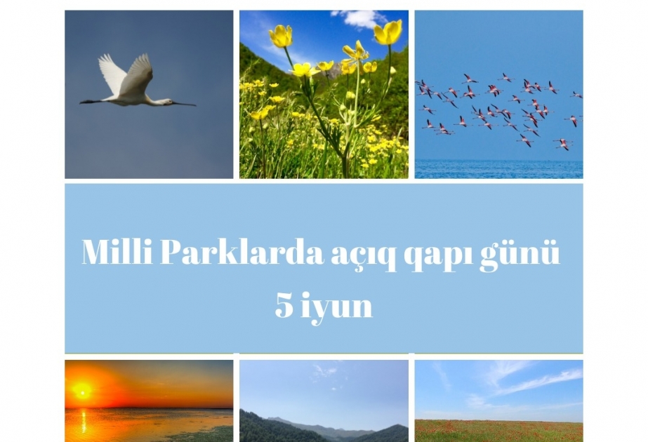 İyunun 5-də Azərbaycanın milli parklarında “Açıq qapı” günü keçiriləcək