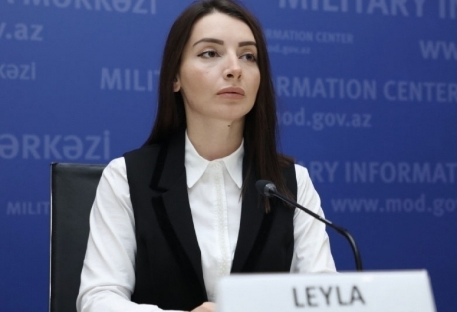 Лейла Абдуллаева: Тиражирование агентством РИА Новости провокационных заявлений бросает тень на усилия по установлению мира в регионе