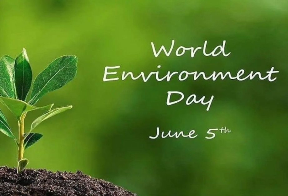 June 5 marks World Environment Day