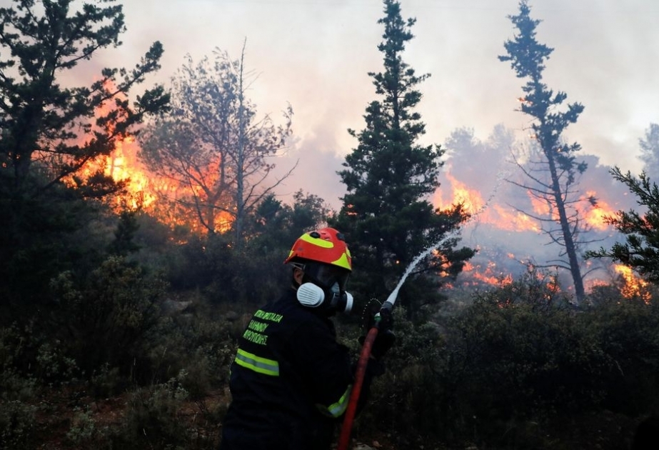 Several cars, homes damaged as wildfire rages on outskirts of Greek capital