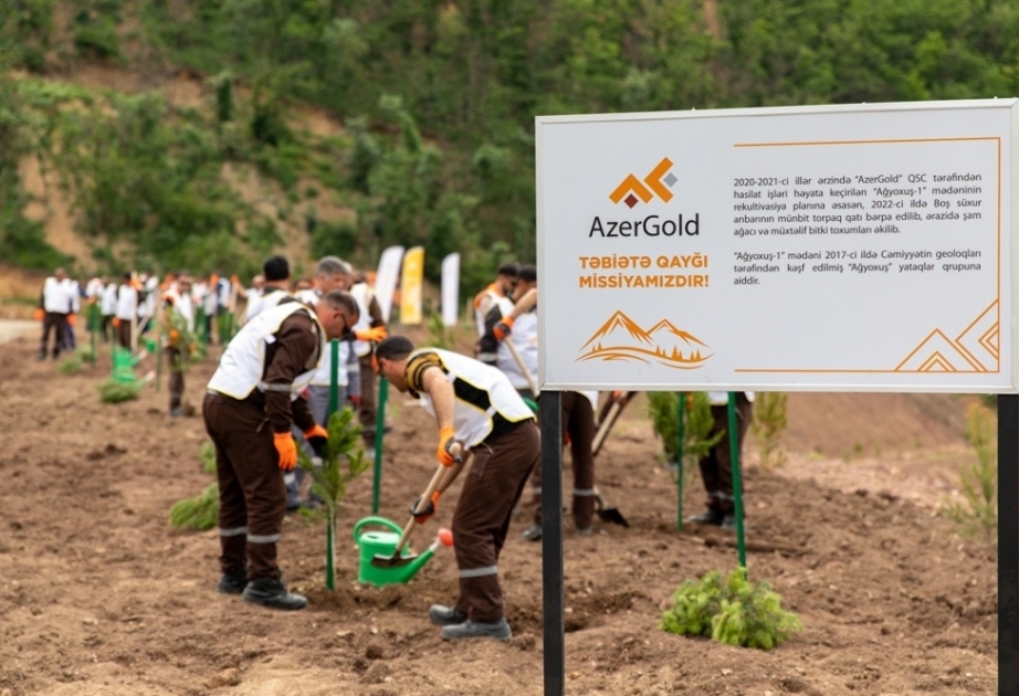 ЗАО AzerGold начало первые рекультивационные работы на золотоносном месторождении