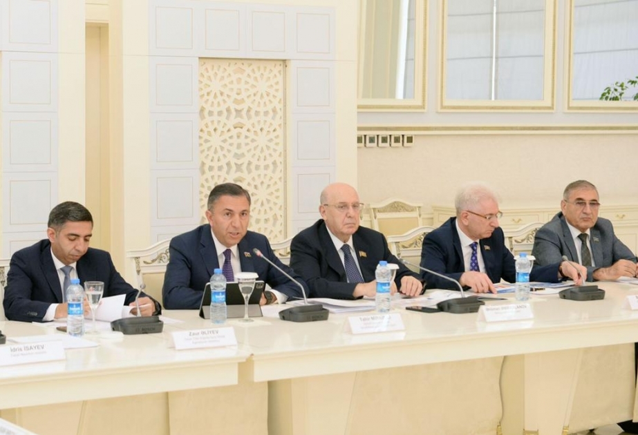 Ötən ilin dövlət büdcəsinin icrası ilə bağlı qanun layihəsi Milli Məclisin komitə iclasında ikinci oxunuşda müzakirə edilib