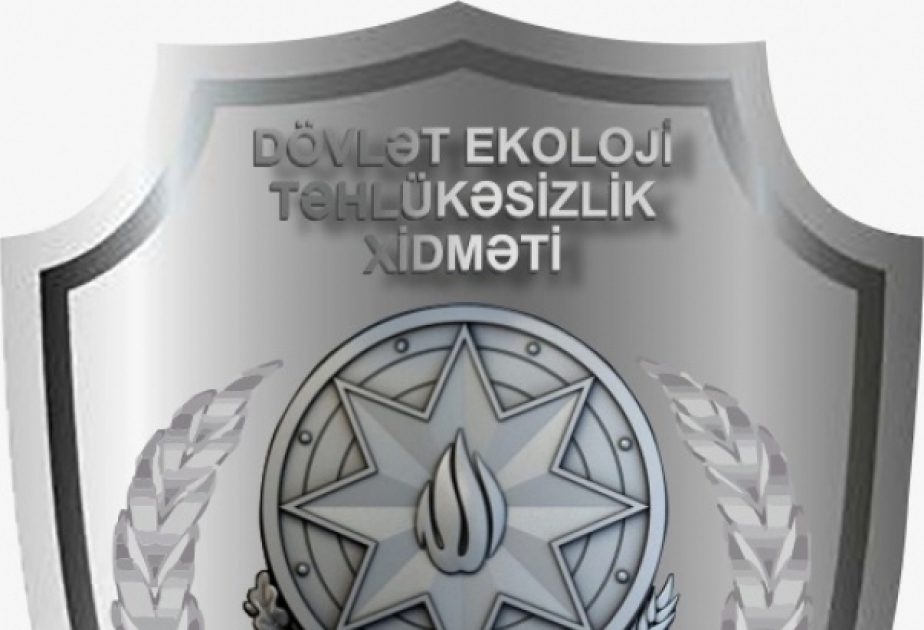 Xırdalanda ağacların kəsilməsi faktı təsdiqini tapıb