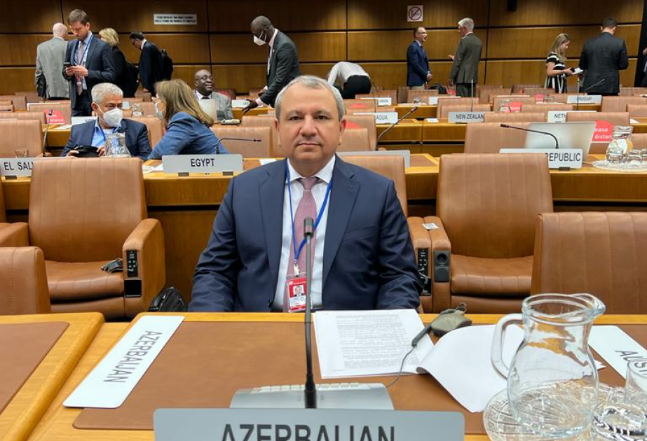 El rector de la Universidad Estatal de Bakú asiste a la reunión del subcomité de la ONU en Viena