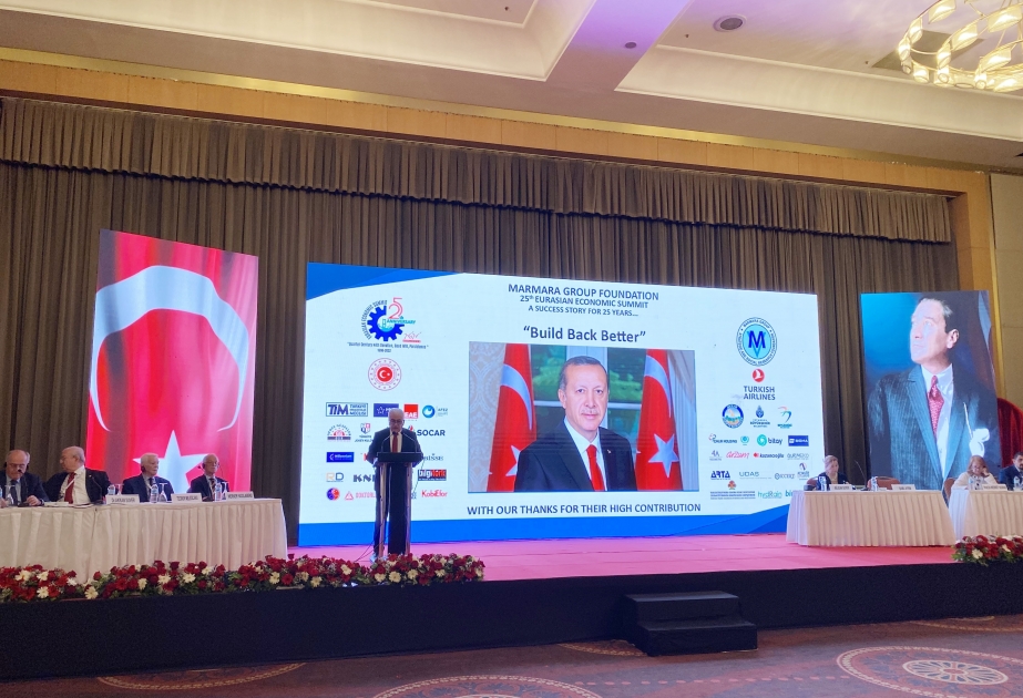 Azerbaijani delegation attends 25th Eurasian Economic Summit in Istanbul