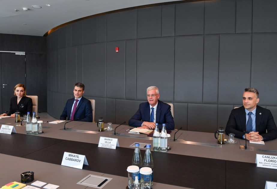 La cooperación de Azerbaiyán con Italia en el campo de la energía "verde" se está expandiendo