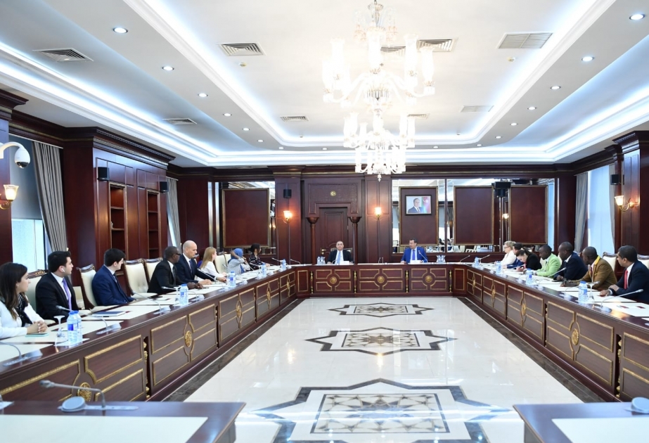 Milli Məclisdə bir qrup əcnəbi diplomatla “Diplomatiyada parlamentin rolu” mövzusunda müzakirələr aparılıb