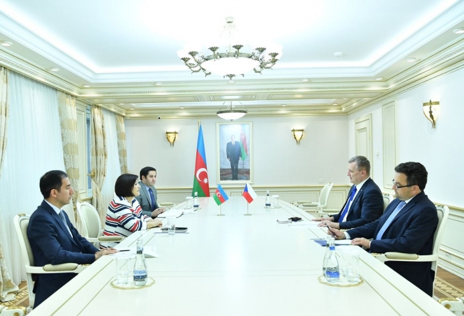 大使：阿塞拜疆是捷克的战略合作伙伴