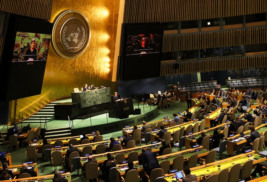 Cinq pays élus membres du Conseil de sécurité par l'Assemblée générale