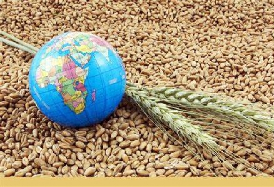Прогноз ФАО: меньше продовольствия за большие деньги