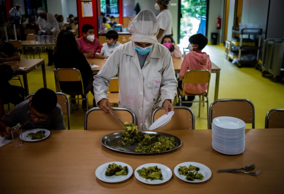 Правительство Испании намерено к 2030 году обеспечить школы столовыми для борьбы с детским ожирением