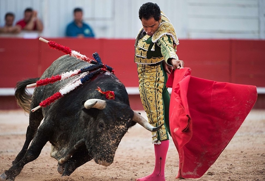 Mexico City ban on bullfighting extended indefinitely