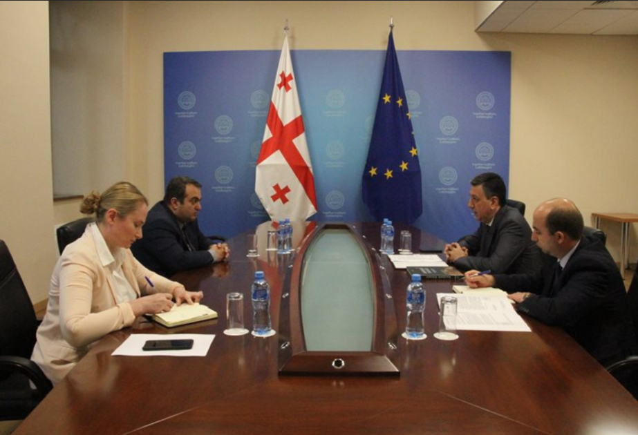Se discutió el tema de profundizar aún más la asociación estratégica entre Azerbaiyán y Georgia