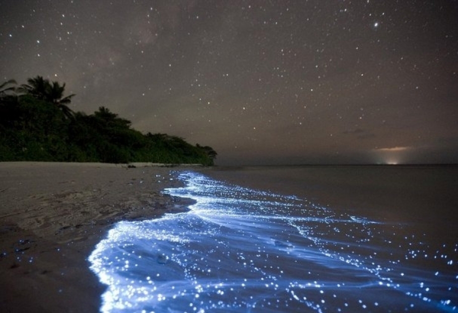 Gorgeous glowing beach of Maldives
