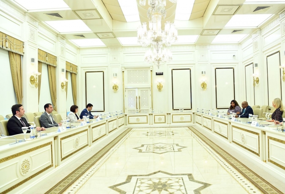 Presidenta de Milli Majlis se reúne con el presidente de la 76ª sesión de la Asamblea General de la ONU