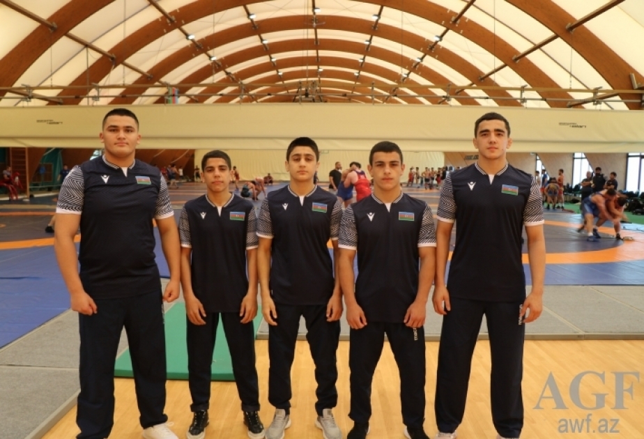 Four Azerbaijani wrestlers reach European Cadets Championships final