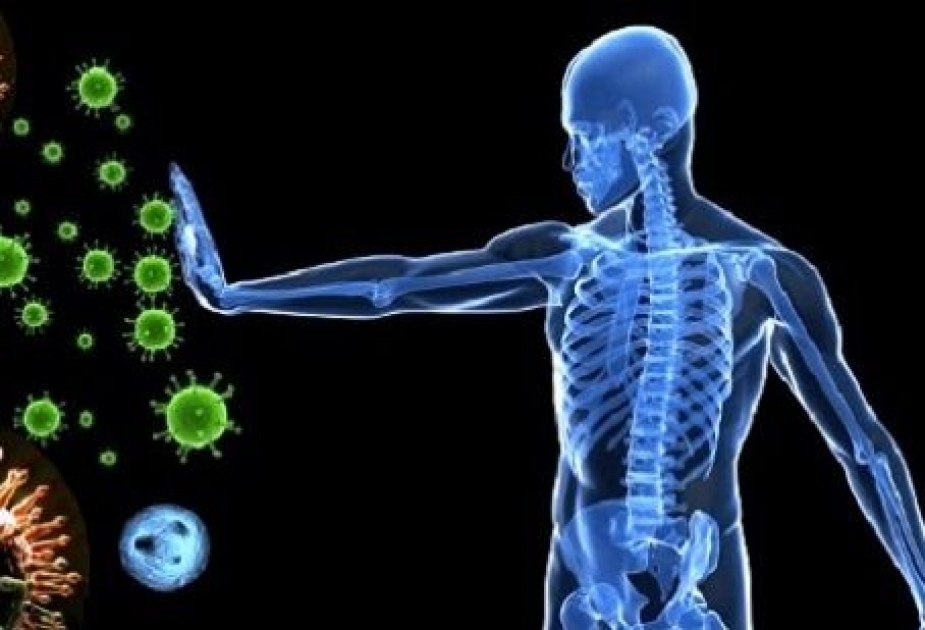 Vitaminlərlə zəngin qidaları düzgün və mütəmadi qəbul etmək immuniteti gücləndirir