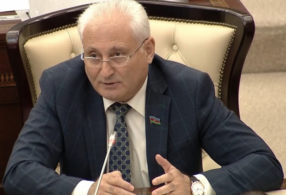 Hikmət Babaoğlu: Milli Qurtuluş Günü Azərbaycanın həm də beynəlxalq aləmdə layiqli yerini tutması ilə səciyyələnir