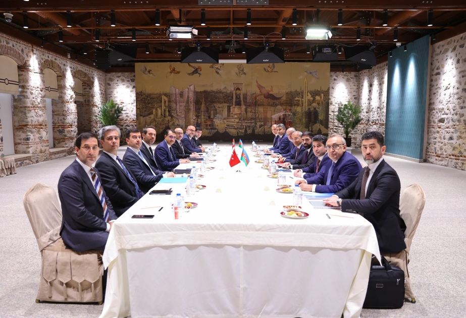 SOCAR-ın Müşahidə Şurasının sədri Türkiyənin energetika və təbii sərvətlər naziri ilə görüşüb