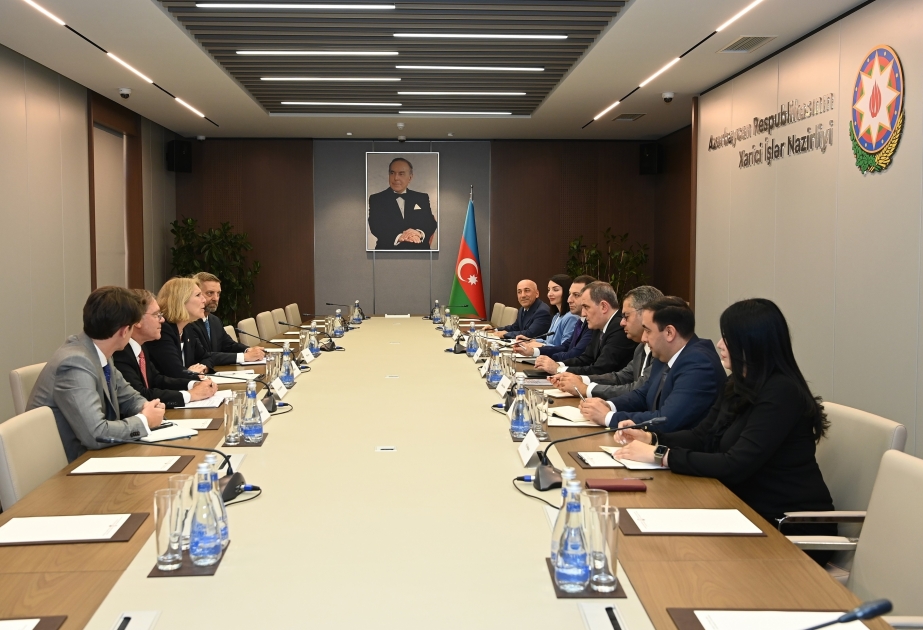 Azerbaijani FM, US Assistant Secretary of State discuss regional situation
