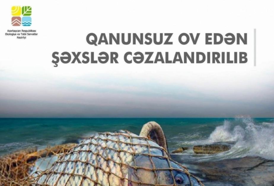 Qızılağac Milli Parkının ərazisində qanunsuz balıq ovlayan şəxslər saxlanılıb