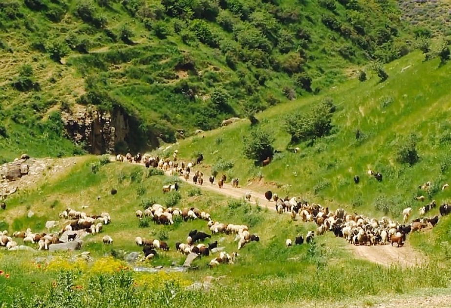 أذربيجان: محافظة جولفا النخجوانية