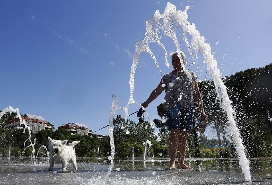 В ряде районов Франции из-за жары запрещены мероприятия на открытом воздухе