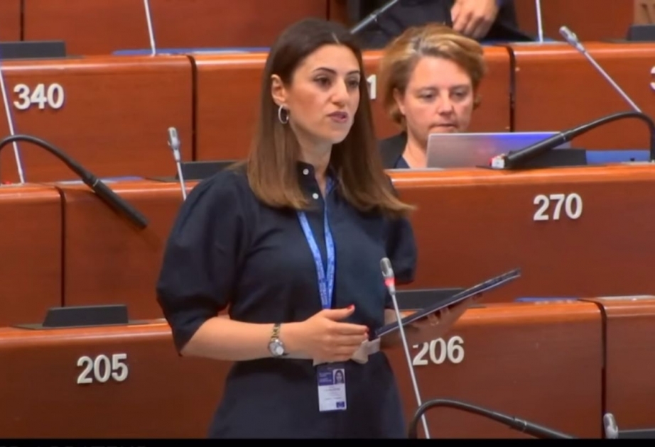 Sevinc Fətəliyeva: Azərbaycan regionda sülhü təşviq edir VİDEO