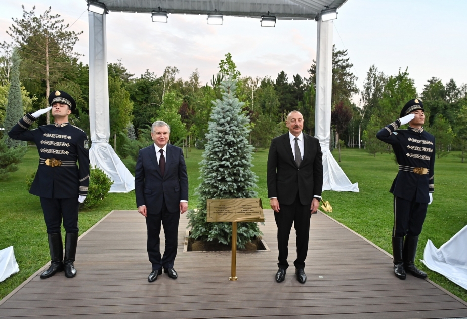 Президенты Азербайджана и Узбекистана посадили дерево в Аллее почетных гостей ВИДЕО