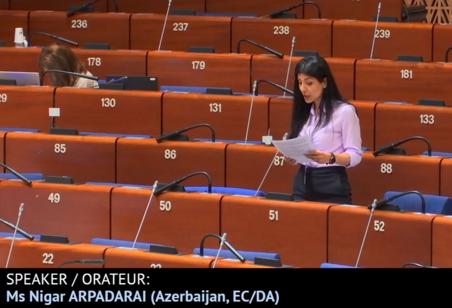 Nigar Arpadarai: AŞPA separatizmlə mübarizə üçün yeni mexanizm yaratmalı və bütün ölkələrə bərabər yanaşmalıdır