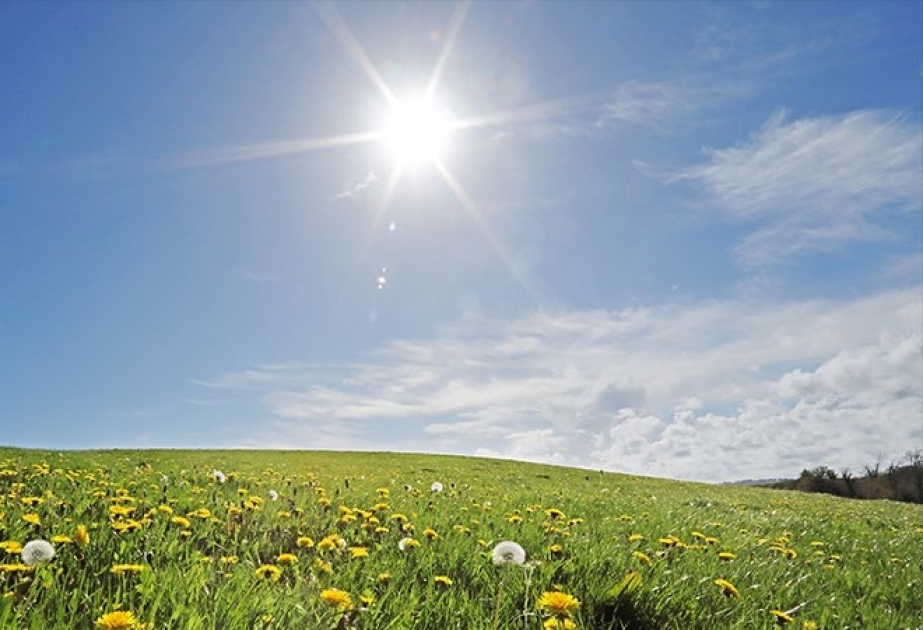 İyunun ikinci ongünlüyündə havanın orta temperaturu çoxillik iqlim normasından 1-3 ºC yüksək olub