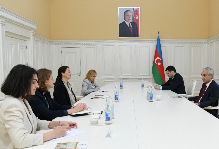 علي احمدوف يلتقي الرئيس الجديد للجنة الدولية للصليب الأحمر في أذربيجان
