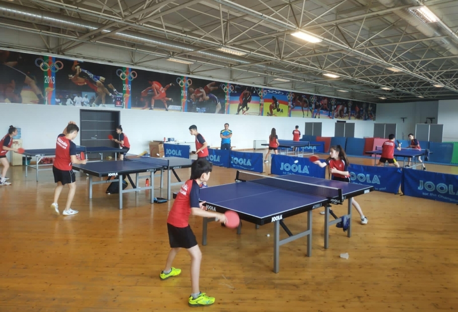 Azerbaijani table tennis players to contest medals at European Youth Championships