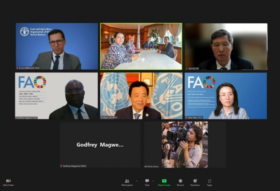 Le renforcement de la coopération entre l’ICESCO et la FAO au menu des discussions