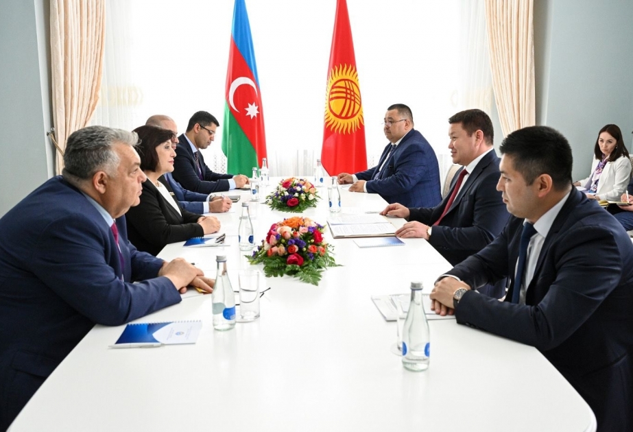Талант Мамытов: Кыргызстан придает большое значение развитию отношений с Азербайджаном
