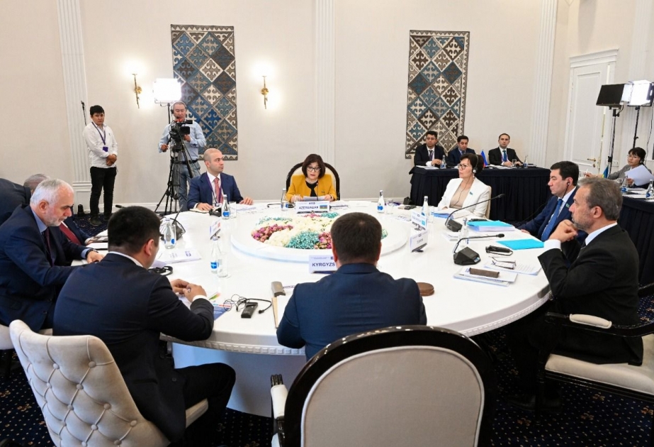 Milli Məclisin sədri Türkdilli Ölkələrin Parlament Assambleyası Şurasının XI iclasında çıxış edib