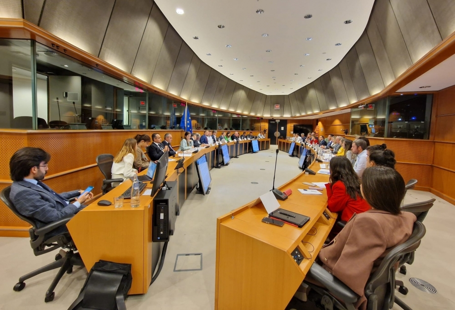 La delegación azerbaiyana celebra varias reuniones en Europa en el ámbito del desminado humanitario