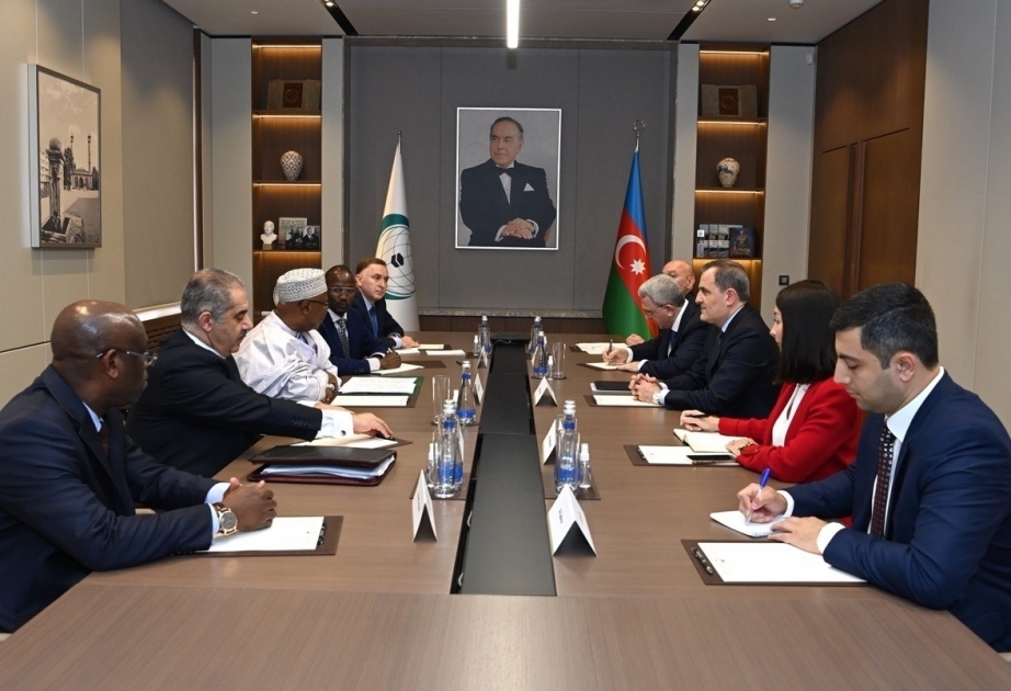 Azerbaijani FM meets with OIC Secretary-General