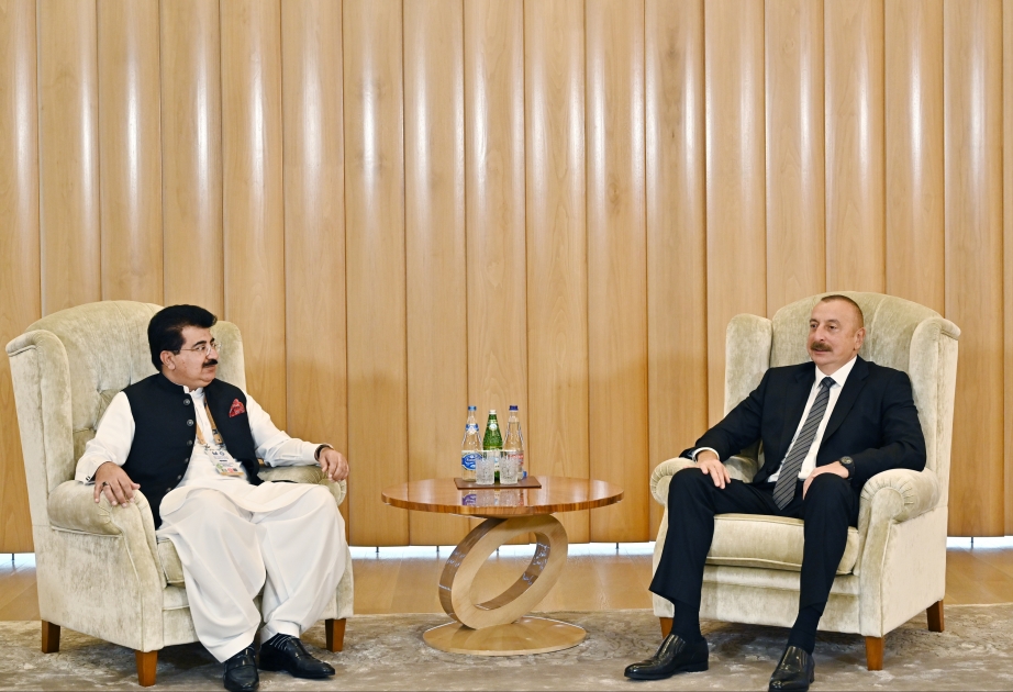 Präsident Ilham Aliyev empfängt den Vorsitzenden des pakistanischen Senats VIDEO