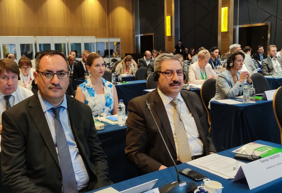 Azərbaycan İstanbulda keçirilən Avropa Şurası Konqresinin Monitorinq Komitəsinin iclasında təmsil olunub