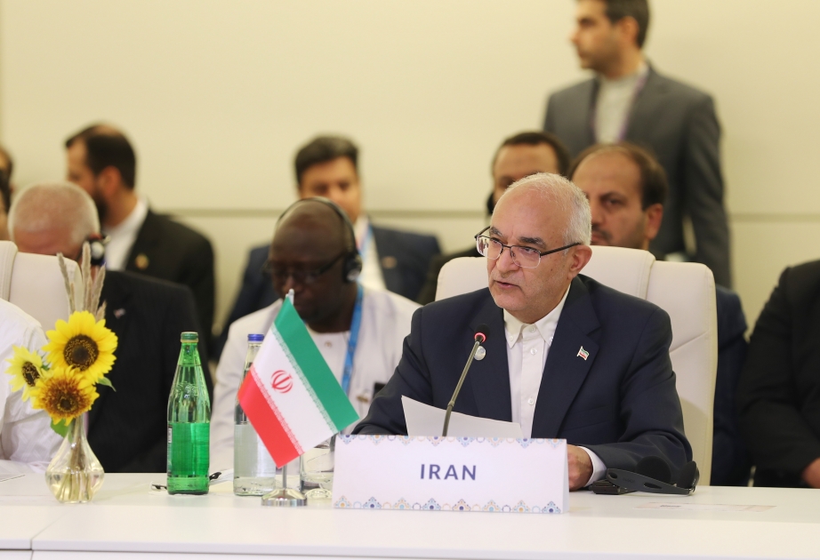 Vicepresidente del Parlamento iraní: “Tenemos una buena oportunidad para reforzar la red parlamentaria”