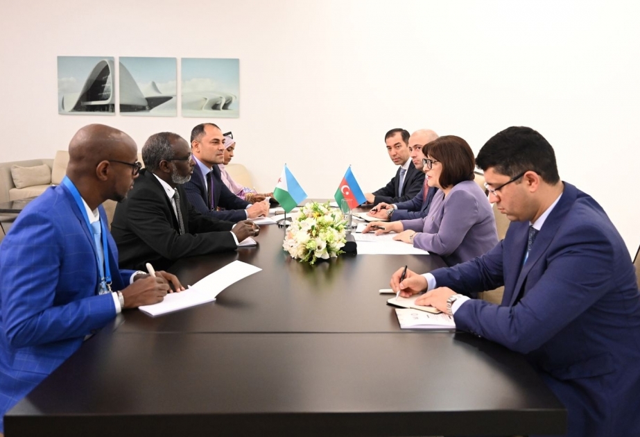 Mohamed Ali Houmed: “Yibuti está interesado en ampliar los lazos interparlamentarios con Azerbaiyán”