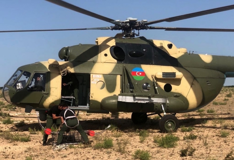 Проведены совместные учения с участием военнослужащих братской страны
