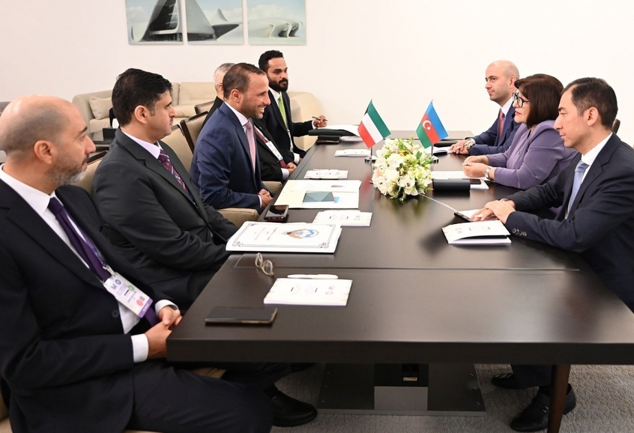 阿塞拜疆国民议会议长会见科威特国民议会议长
