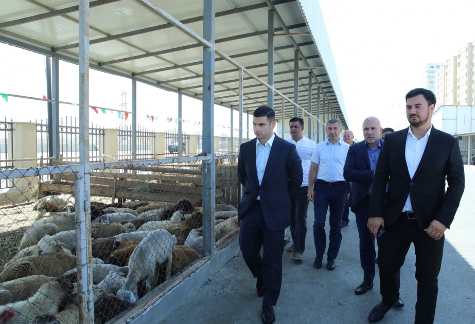Qurban bayramı ərəfəsində sahibkarlarla görüşlər davam edir