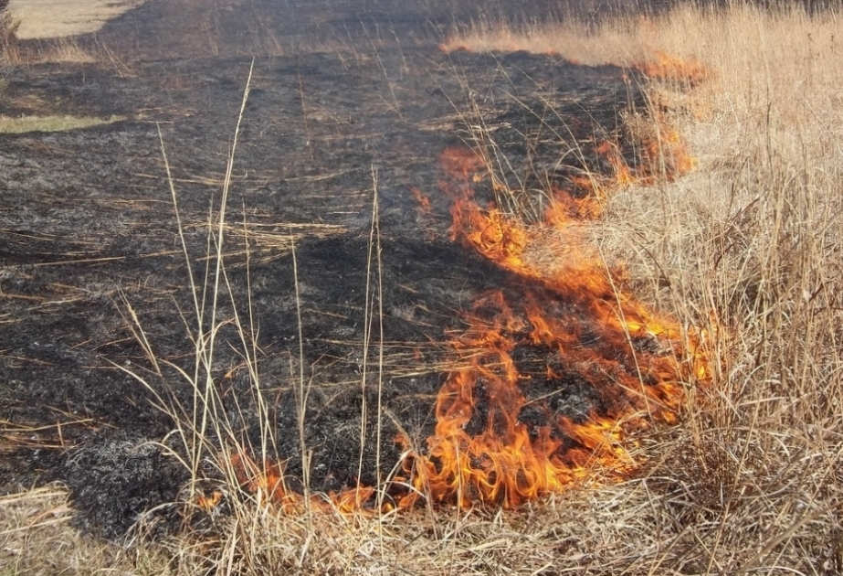 Se extinguió el incendio que se desató en la aldea de Aybasanli del distrito de Fuzuli