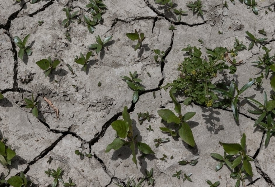 L'état d'urgence déclaré dans le nord d’Italie pour faire face à la sécheresse
